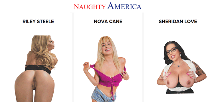 Porn Naughty America Models - Naughty America Includes Selection Of 2D AR Models - AR Porn ...